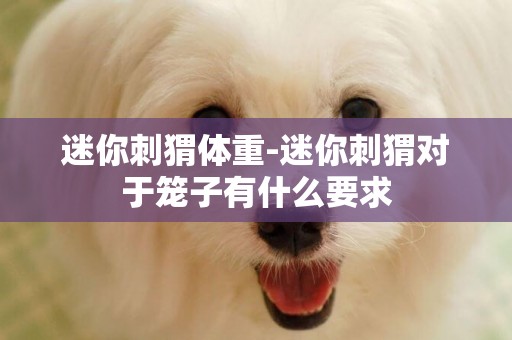 迷你刺猬體重-迷你刺猬對于籠子有什么要求