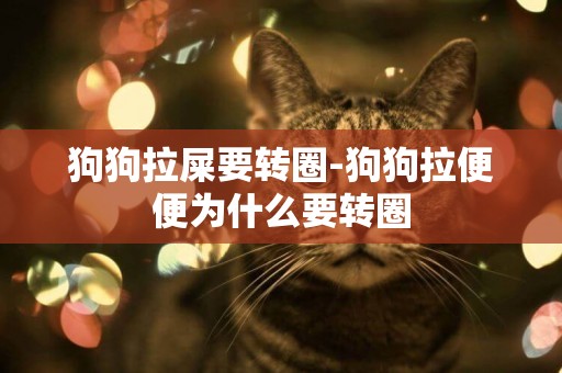 狗狗拉屎要轉圈-狗狗拉便便為什么要轉圈