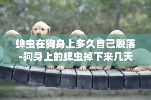 蜱蟲在狗身上多久自己脫落-狗身上的蜱蟲掉下來幾天后會死？