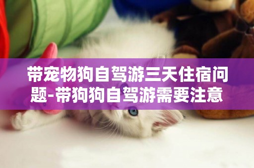 帶寵物狗自駕游三天住宿問題-帶狗狗自駕游需要注意什么