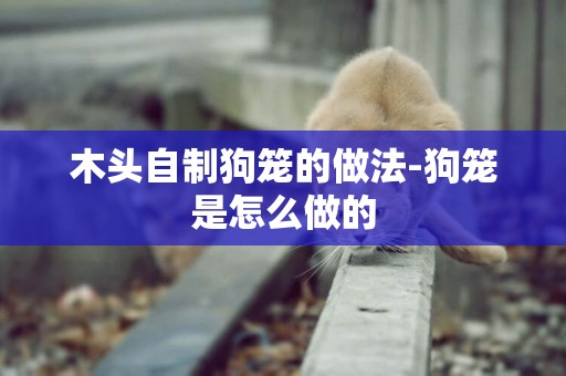木頭自制狗籠的做法-狗籠是怎么做的