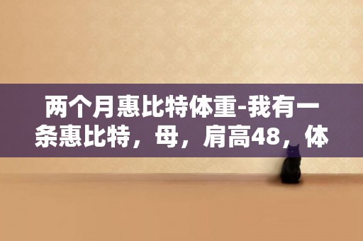 兩個月惠比特體重-我有一條惠比特，母，肩高48，體重19斤，速度50公里左右，