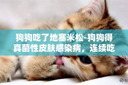 狗狗吃了地塞米松-狗狗得真菌性皮膚感染病，連續吃了近一個月的地塞米松藥片……