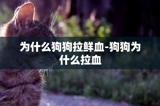 為什么狗狗拉鮮血-狗狗為什么拉血