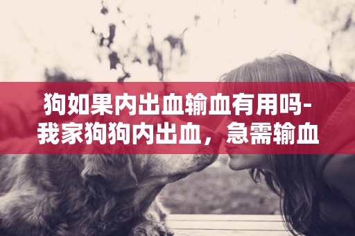 狗如果內出血輸血有用嗎-我家狗狗內出血，急需輸血，誰能幫助我啊，她不是摔的，她是內臟出了問題，已奄奄