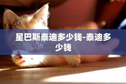 星巴斯泰迪多少錢-泰迪多少錢