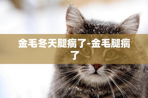 金毛冬天腿瘸了-金毛腿瘸了