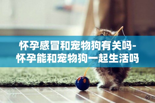 懷孕感冒和寵物狗有關嗎-懷孕能和寵物狗一起生活嗎