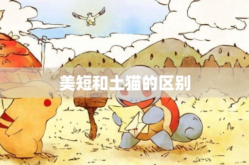 美短和土貓的區別