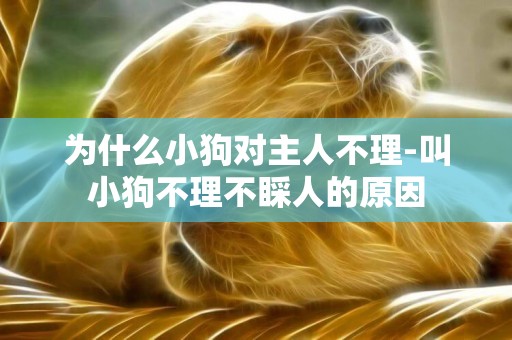 為什么小狗對主人不理-叫小狗不理不睬人的原因