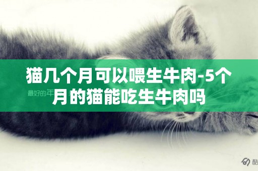 貓幾個月可以喂生牛肉-5個月的貓能吃生牛肉嗎