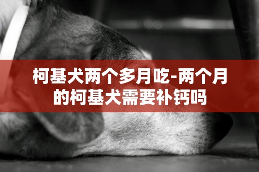 柯基犬兩個多月吃-兩個月的柯基犬需要補鈣嗎