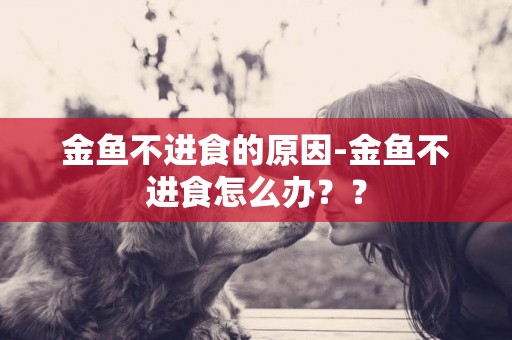 金魚不進食的原因-金魚不進食怎么辦？？