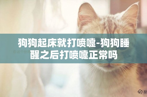 狗狗起床就打噴嚏-狗狗睡醒之后打噴嚏正常嗎