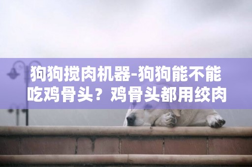 狗狗攪肉機器-狗狗能不能吃雞骨頭？雞骨頭都用絞肉機絞碎
