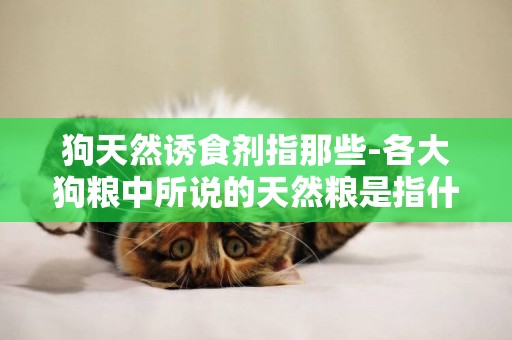 狗天然誘食劑指那些-各大狗糧中所說的天然糧是指什么?什么叫天然糧?