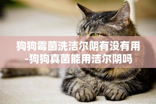 狗狗霉菌洗潔爾陰有沒有用-狗狗真菌能用潔爾陰嗎
