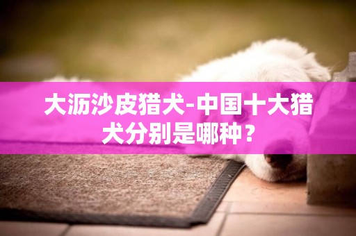 大瀝沙皮獵犬-中國十大獵犬分別是哪種？