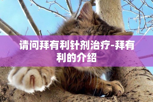 請問拜有利針劑治療-拜有利的介紹
