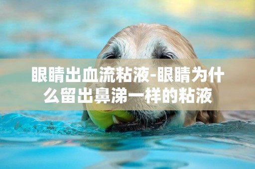 眼睛出血流粘液-眼睛為什么留出鼻涕一樣的粘液