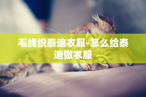 毛線織泰迪衣服-怎么給泰迪做衣服