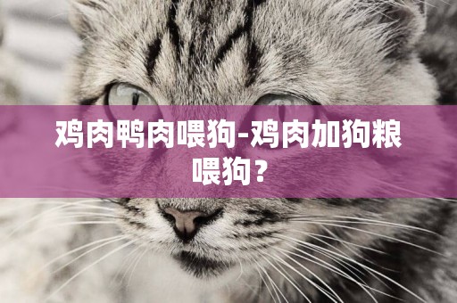 雞肉鴨肉喂狗-雞肉加狗糧喂狗？