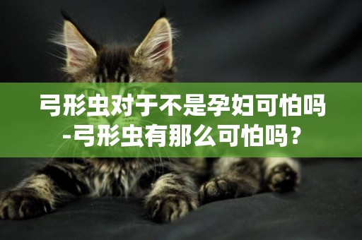 弓形蟲對于不是孕婦可怕嗎-弓形蟲有那么可怕嗎？