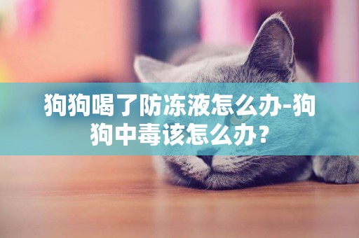 狗狗喝了防凍液怎么辦-狗狗中毒該怎么辦？