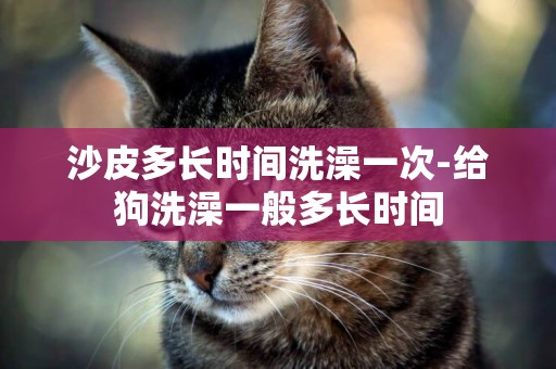 沙皮多長時間洗澡一次-給狗洗澡一般多長時間