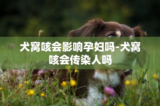 犬窩咳會影響孕婦嗎-犬窩咳會傳染人嗎