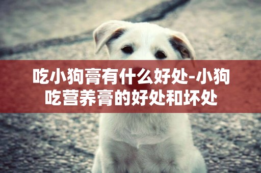 吃小狗膏有什么好處-小狗吃營養膏的好處和壞處