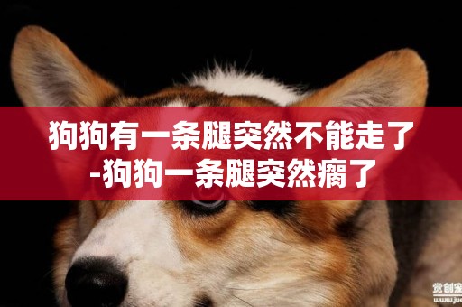 狗狗有一條腿突然不能走了-狗狗一條腿突然瘸了