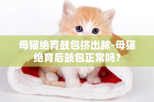 母貓絕育鼓包擠出膿-母貓絕育后鼓包正常嗎？