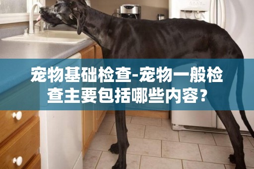 寵物基礎檢查-寵物一般檢查主要包括哪些內容？