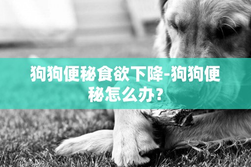 狗狗便秘食欲下降-狗狗便秘怎么辦？
