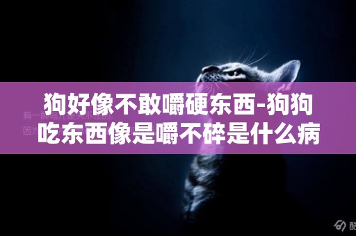 狗好像不敢嚼硬東西-狗狗吃東西像是嚼不碎是什么病