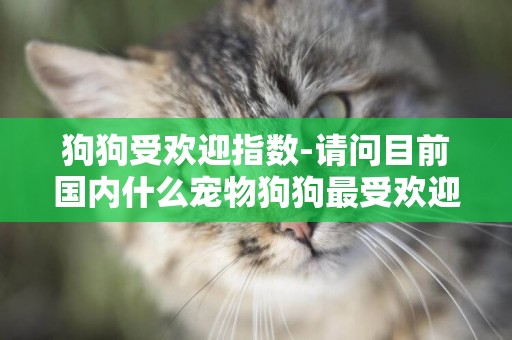 狗狗受歡迎指數-請問目前國內什么寵物狗狗最受歡迎
