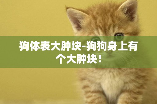 狗體表大腫塊-狗狗身上有個大腫塊！