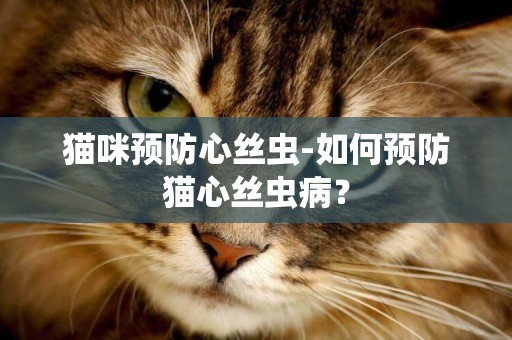 貓咪預防心絲蟲-如何預防貓心絲蟲病？