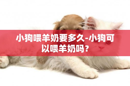 小狗喂羊奶要多久-小狗可以喂羊奶嗎？