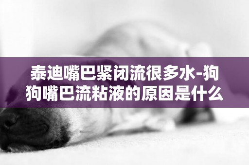 泰迪嘴巴緊閉流很多水-狗狗嘴巴流粘液的原因是什么？