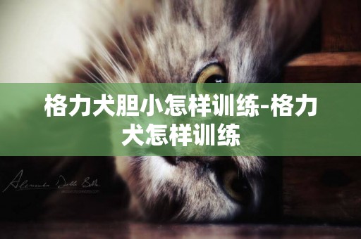 格力犬膽小怎樣訓練-格力犬怎樣訓練