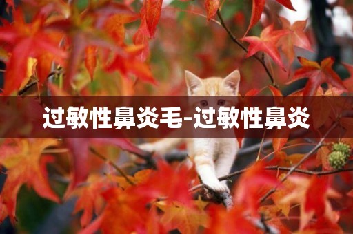 過敏性鼻炎毛-過敏性鼻炎