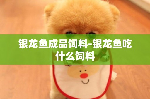 銀龍魚成品飼料-銀龍魚吃什么飼料