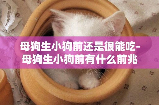 母狗生小狗前還是很能吃-母狗生小狗前有什么前兆