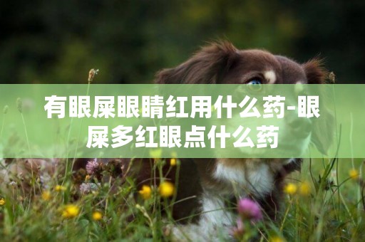 有眼屎眼睛紅用什么藥-眼屎多紅眼點什么藥