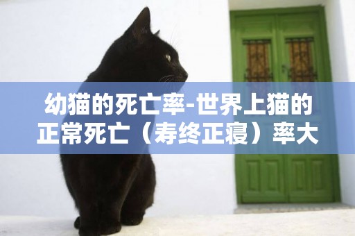 幼貓的死亡率-世界上貓的正常死亡（壽終正寢）率大概是多少？