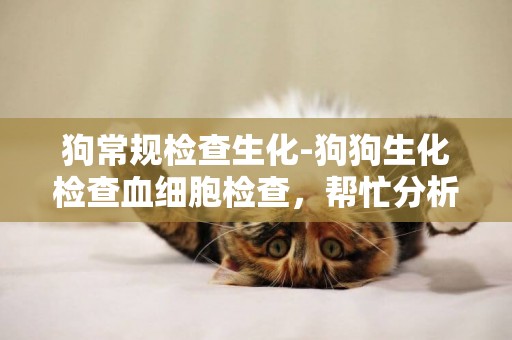 狗常規檢查生化-狗狗生化檢查血細胞檢查，幫忙分析下