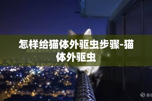 怎樣給貓體外驅蟲步驟-貓體外驅蟲