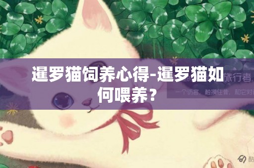暹羅貓飼養心得-暹羅貓如何喂養？
